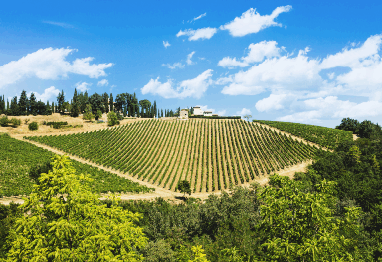 7 Best Wine Tours in Tuscany chianti