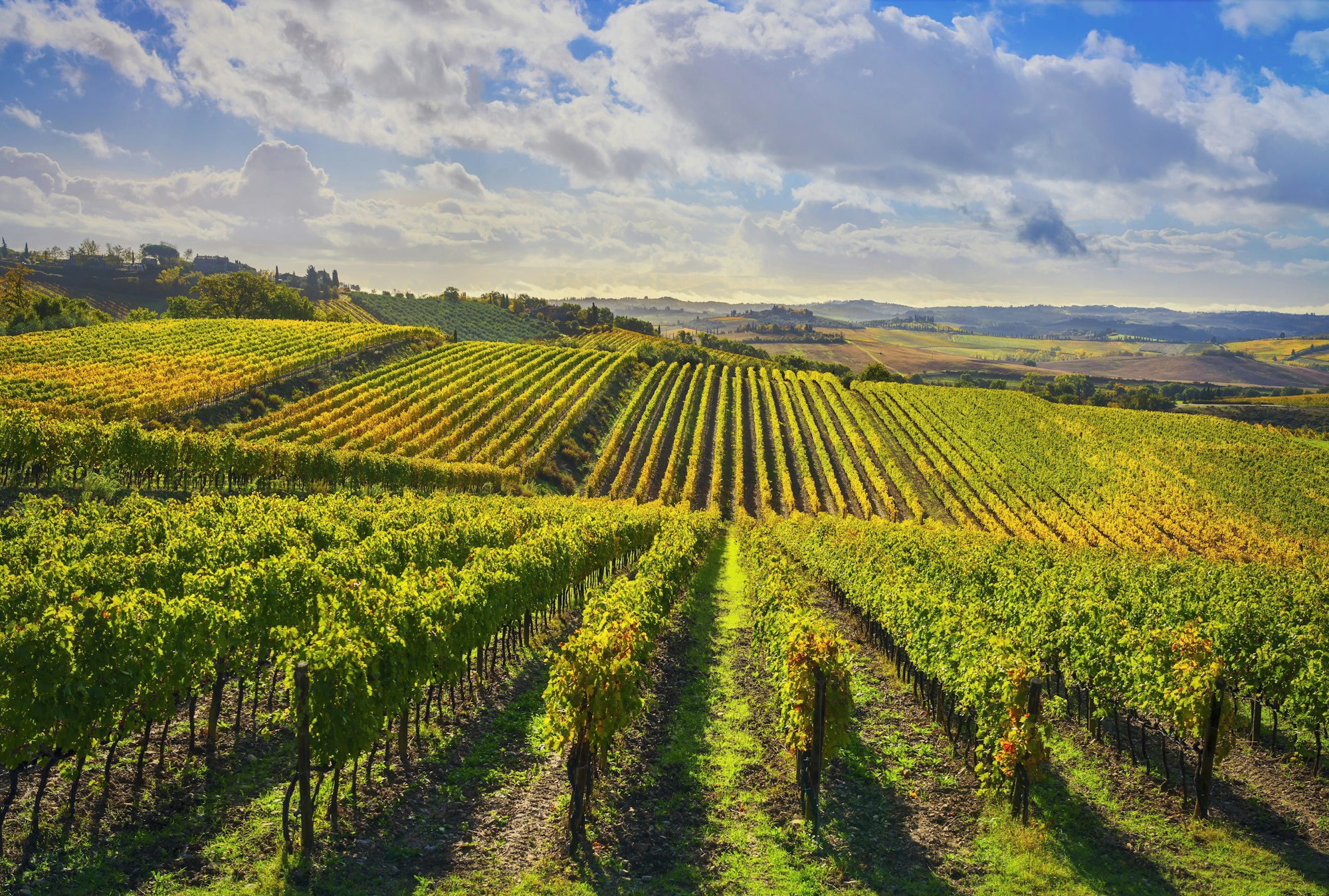 Chianti vineyards near Castellina, a short drive when you ask how far is Chianti from Florence